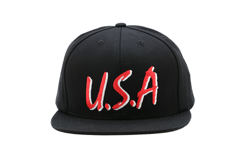 USA Snapback